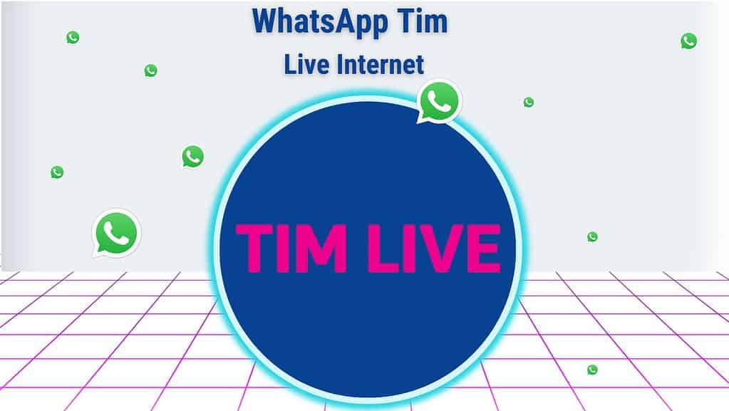 WhatsApp Tim Live 