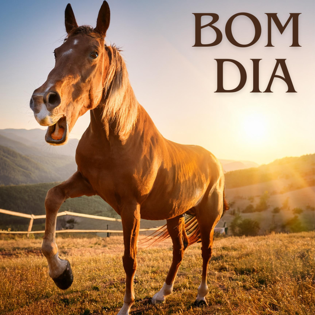 bom dia